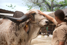 Load image into Gallery viewer, Eco Park Punta Cana